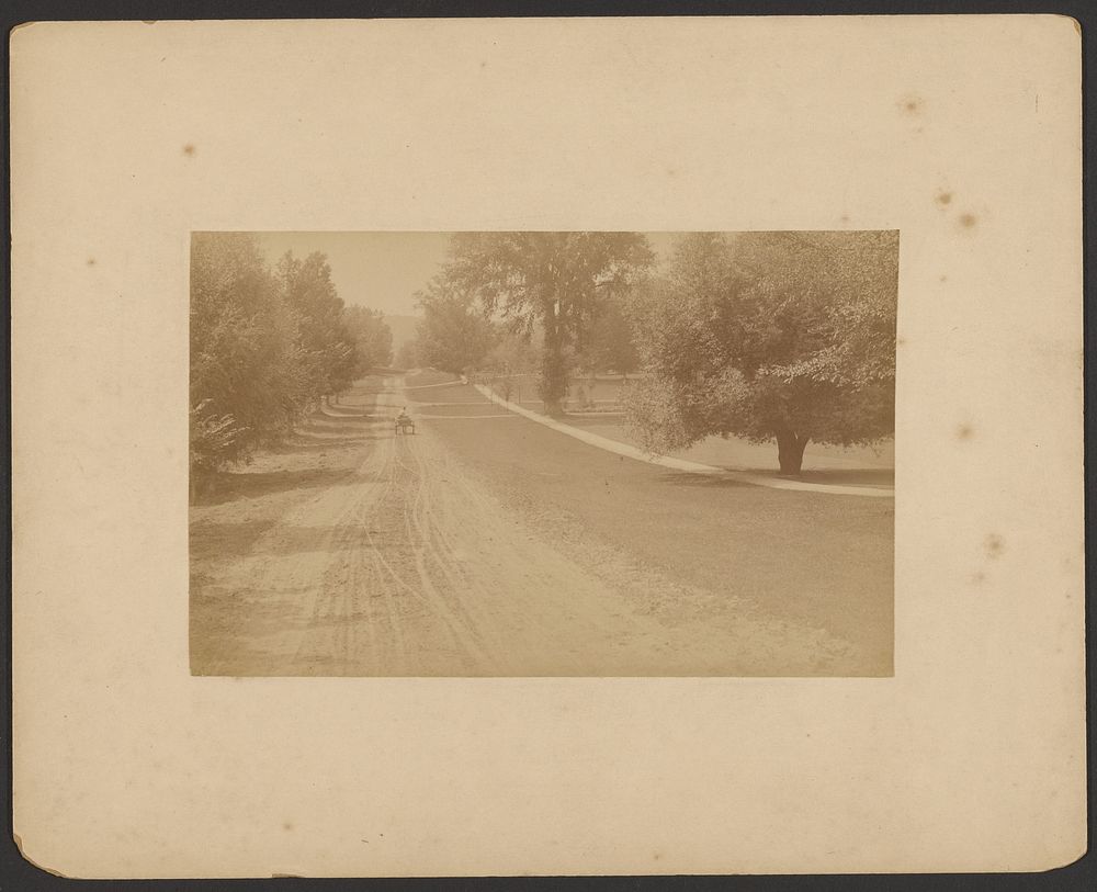 View down country road