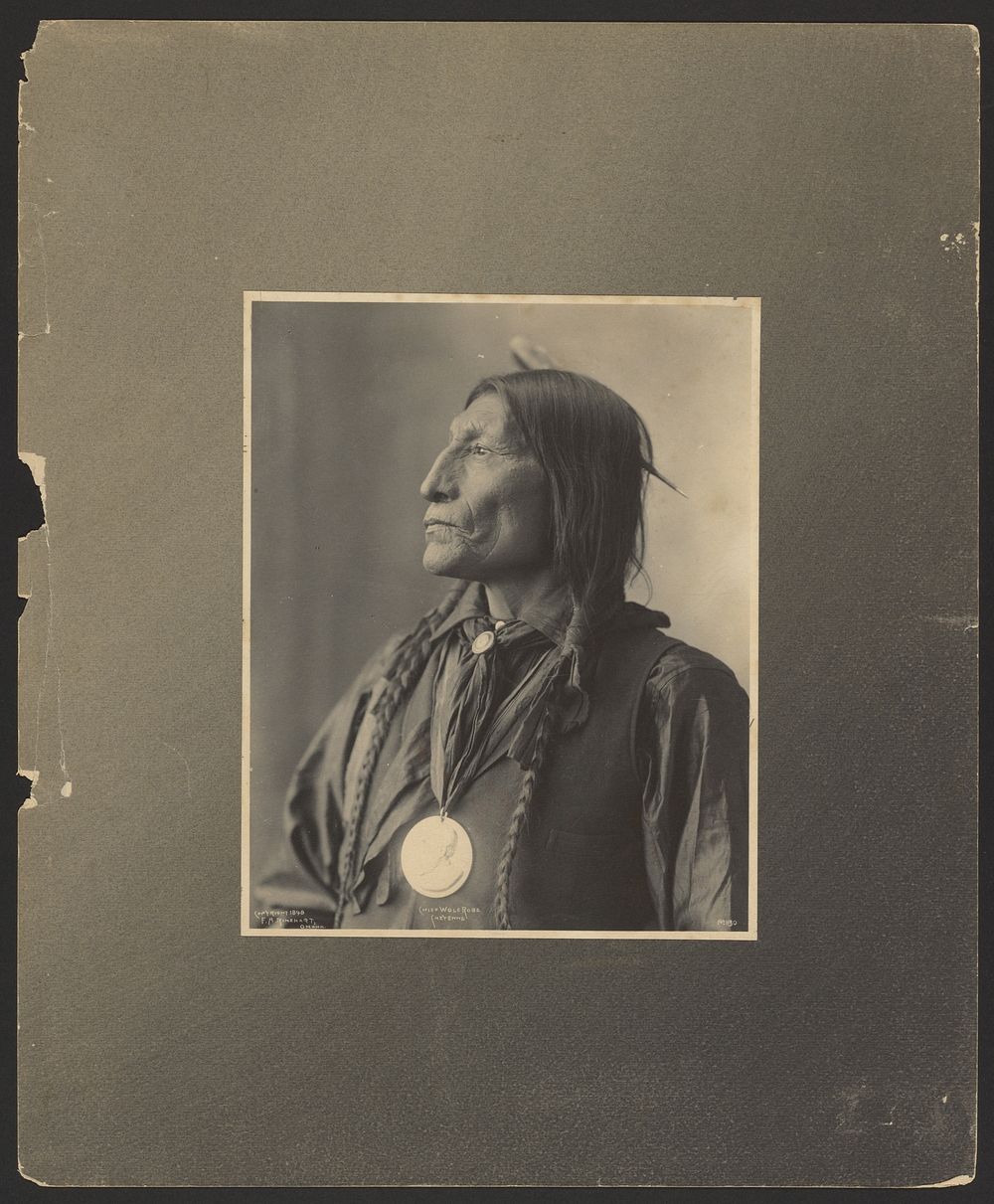 Chief Wolf Robe, Cheyenne by Adolph F Muhr and Frank A Rinehart