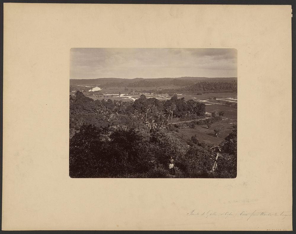 Point de Galle (Ceylon), view from Wackwella bungalow by Walter B Woodbury