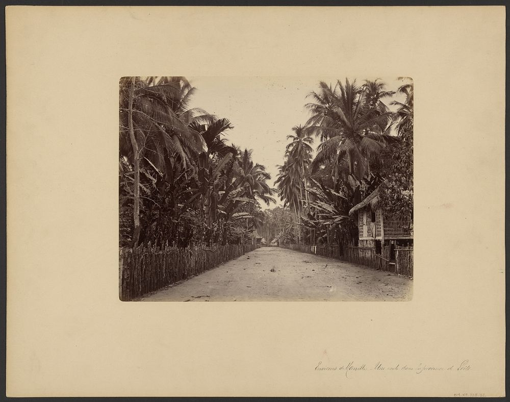 Environs de Manille. Une route dans la province de Leyte by Walter B Woodbury