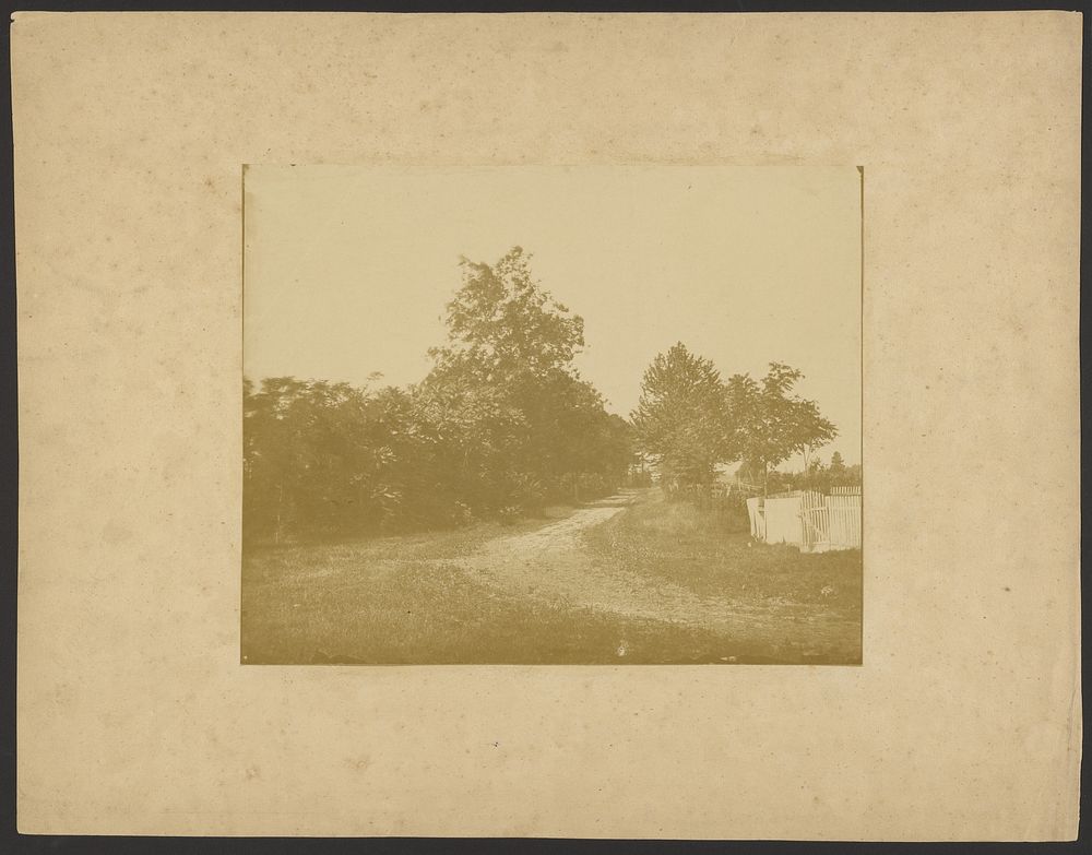 Landscape with dirt road