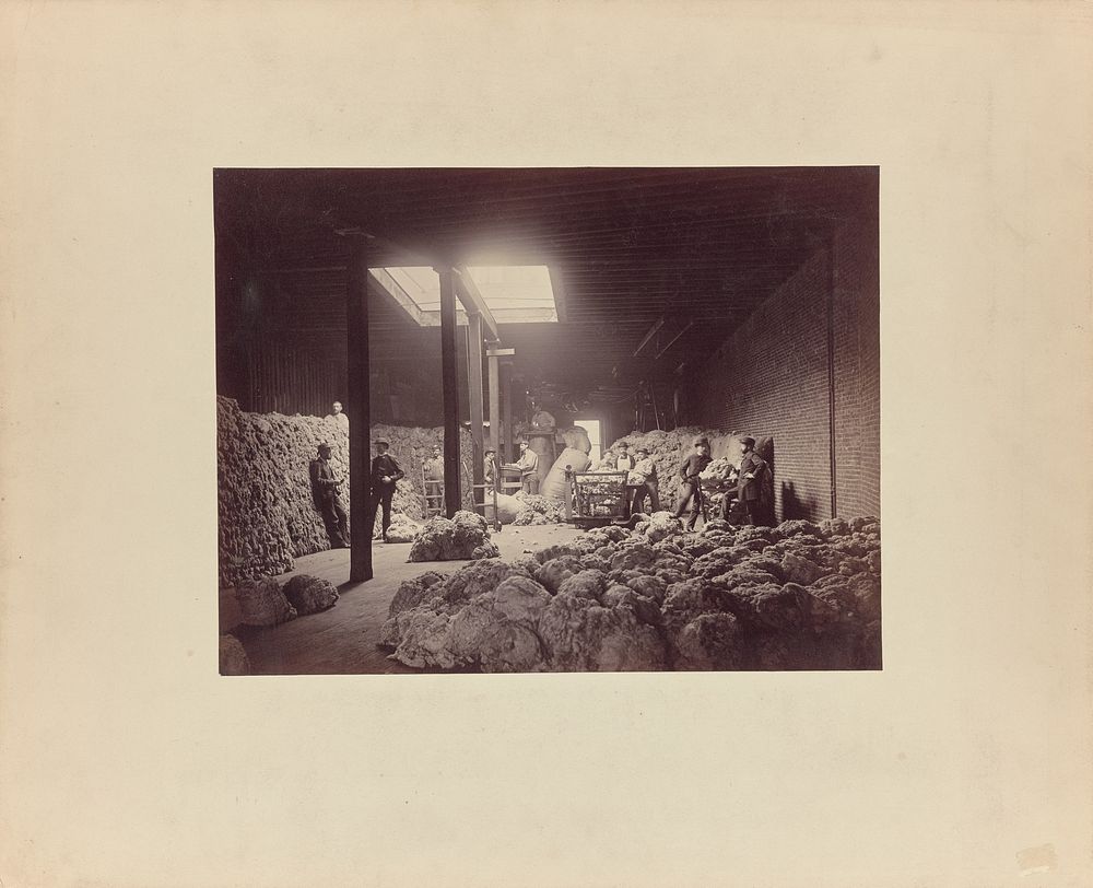 Interior of wool sorting house, Walter Brown and Company