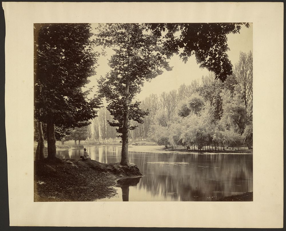 Srinuggur; A View on the Canal by Samuel Bourne