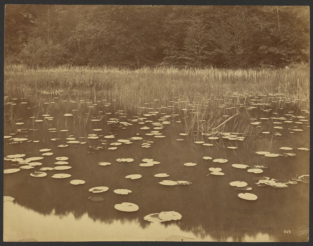 Lily Pond by Achille Quinet