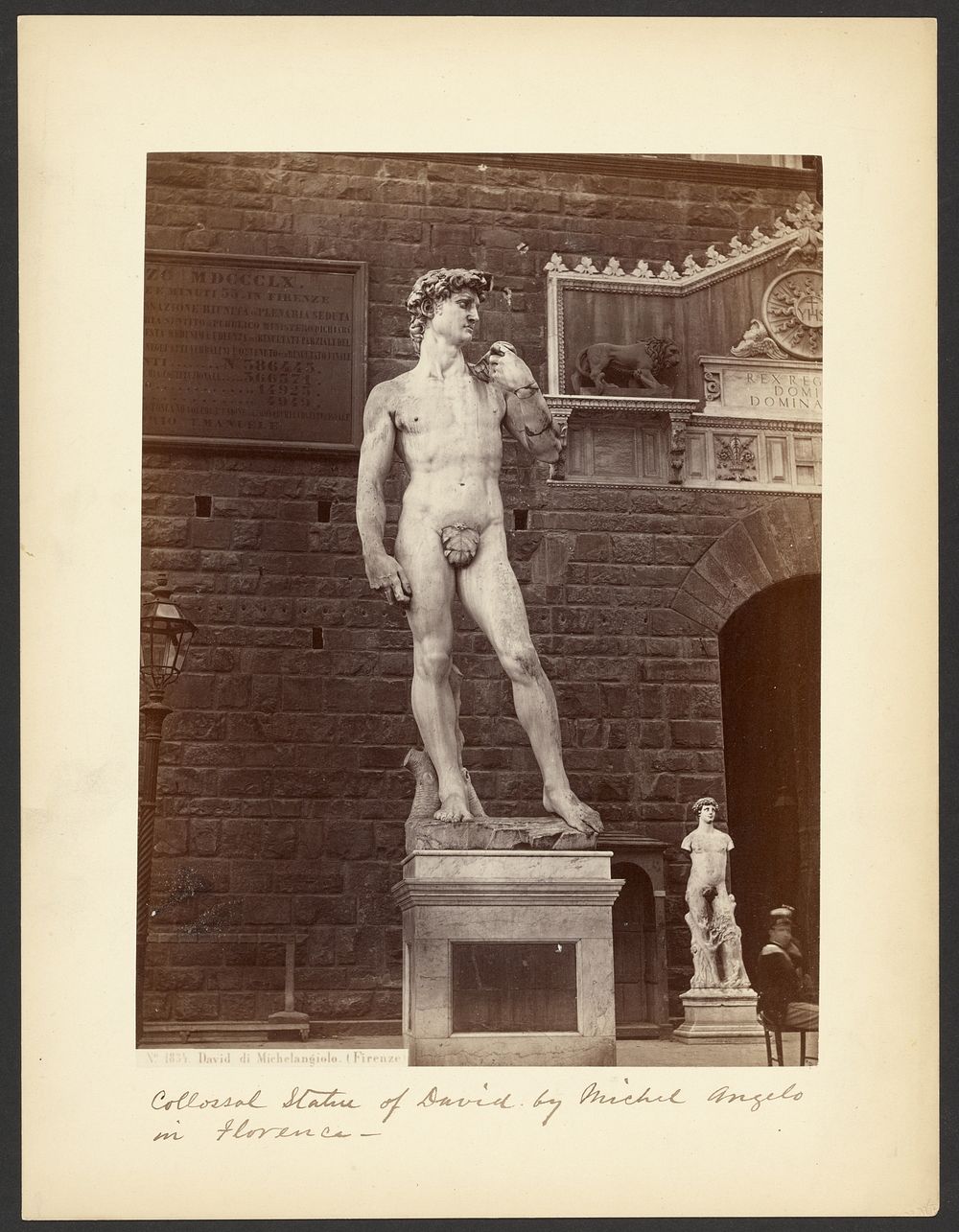 David by Michelangelo (Florence) by Giorgio Sommer