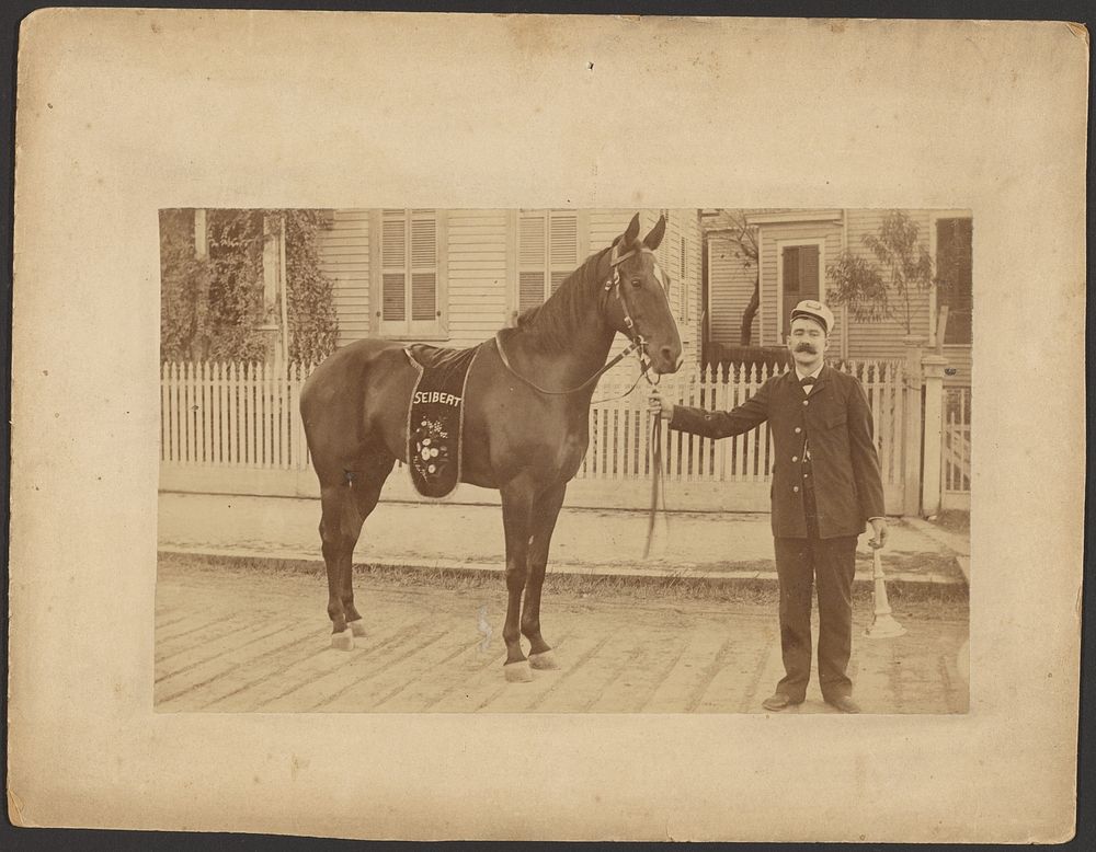 Fireman with horse