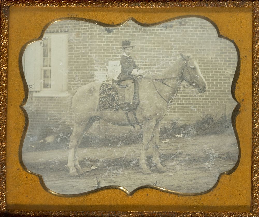 Boy in Hat on Horse