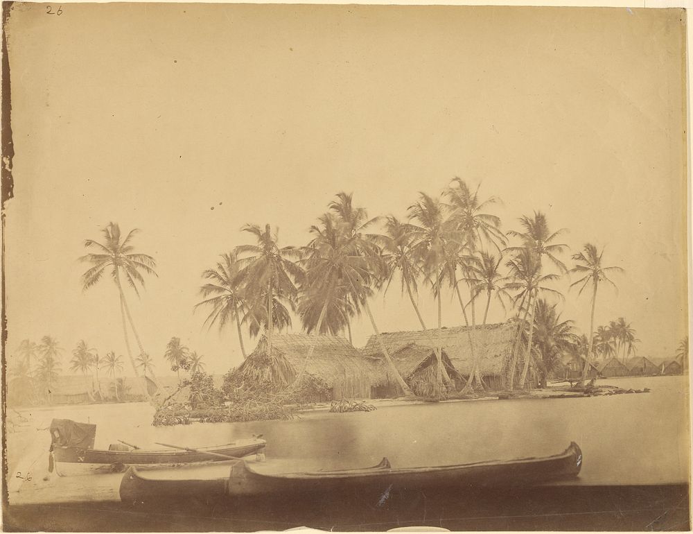 Limón Bay, Isthmus of Darién (Panama) by Timothy H O Sullivan