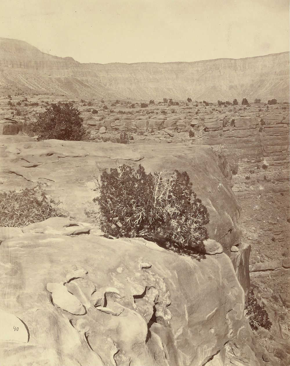 Plateau, North of the Grand Canyon by William H Bell