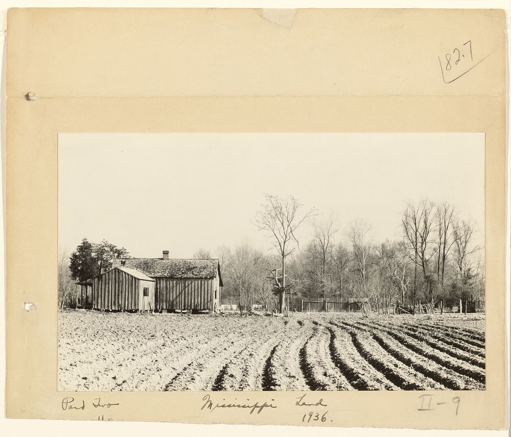 Mississippi Land / Farm Scene, Jackson, Mississippi by Walker Evans