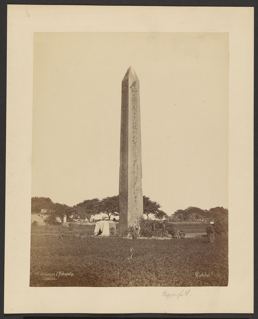 Obelisque d'Heliopolis, Mataria by Pascal Sébah
