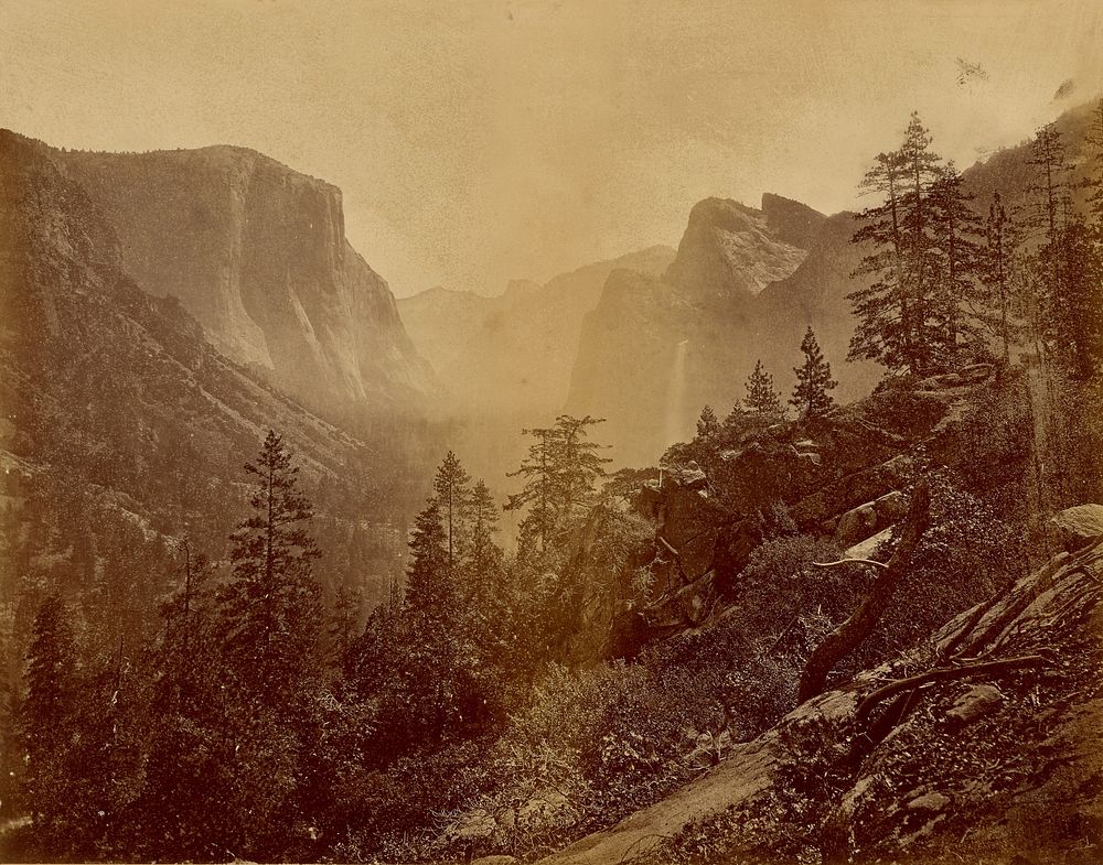 Yosemite Valley (Early Morning from Rock of the Moon) [No. 2] by Eadweard J Muybridge