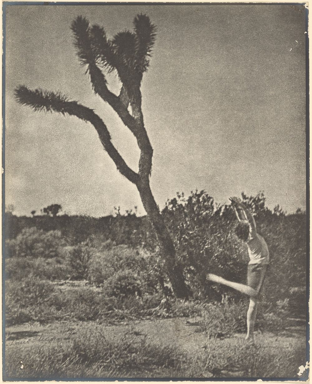 Dancer at Joshua Tree by Louis Fleckenstein
