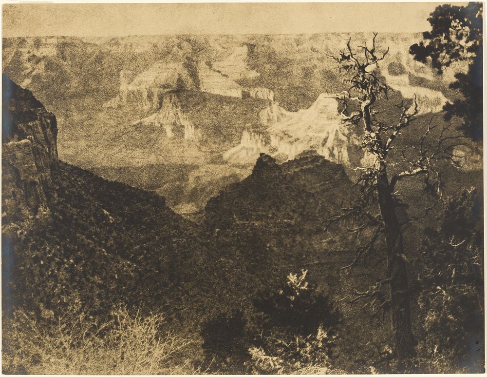 Mountainous Landscape with Bare Tree by Louis Fleckenstein