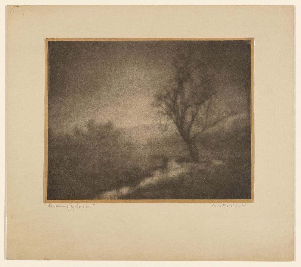Evening Gloom by W A Hudson
