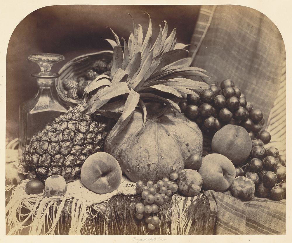 Still Life with Fruit and Decanter by Roger Fenton