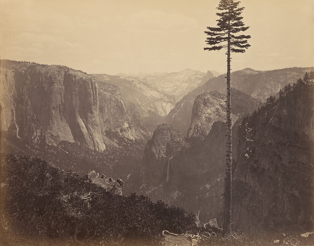 Yosemite Valley from the Best General View by Carleton Watkins