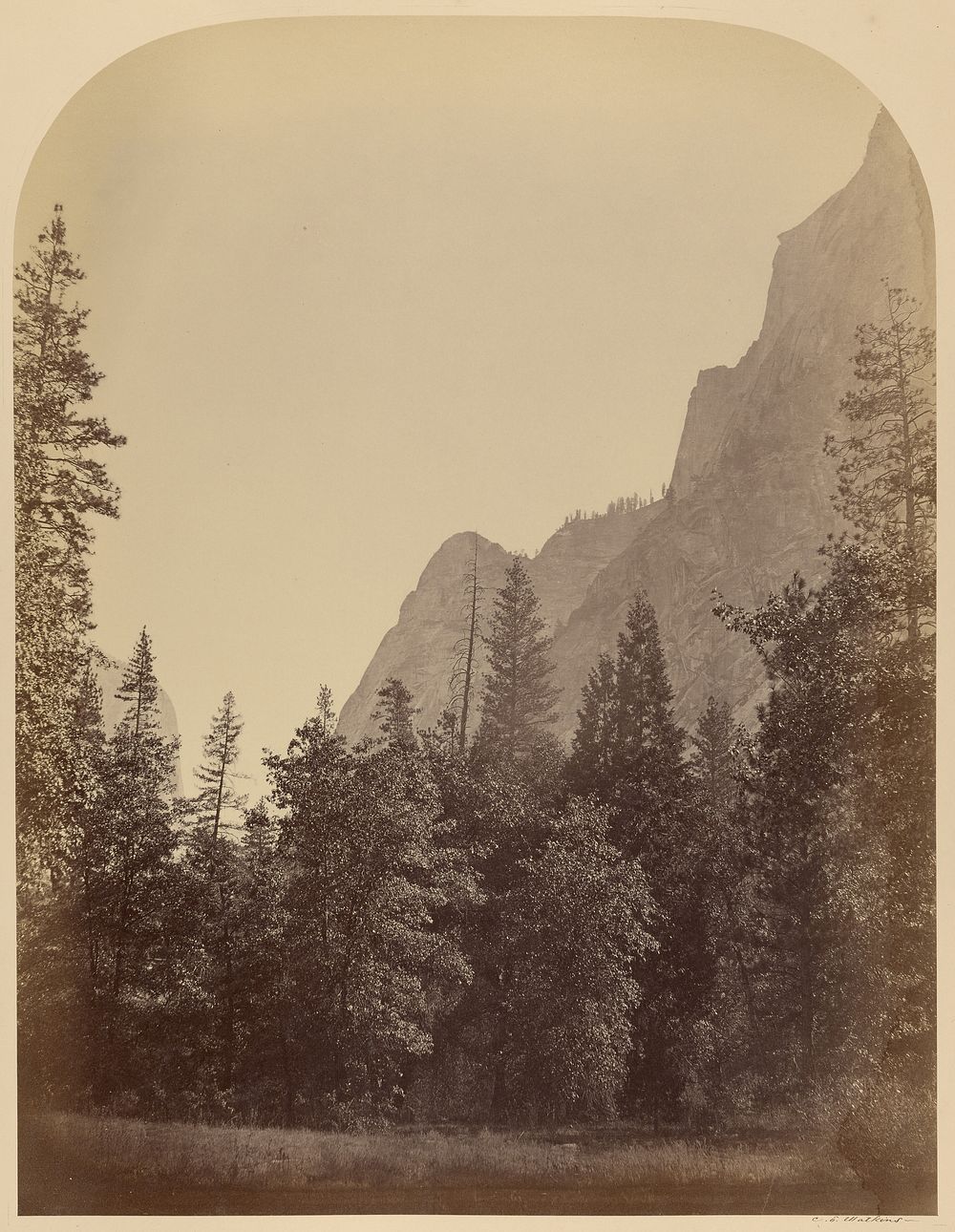 Outline View of the Half Dome - 4967 ft., Yo Semite by Carleton Watkins