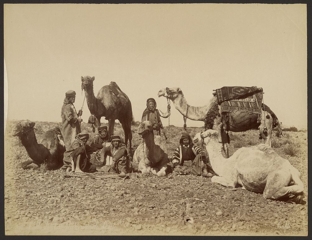 Halte de chameliers dans le desert by Félix Bonfils