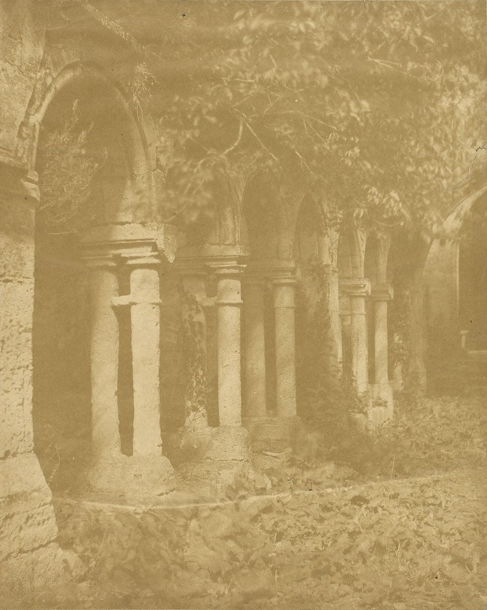 Ruins of arches covered in foliage