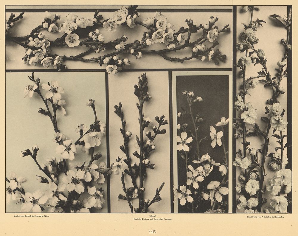 Plum Blossoms by Gerlach and Schenk