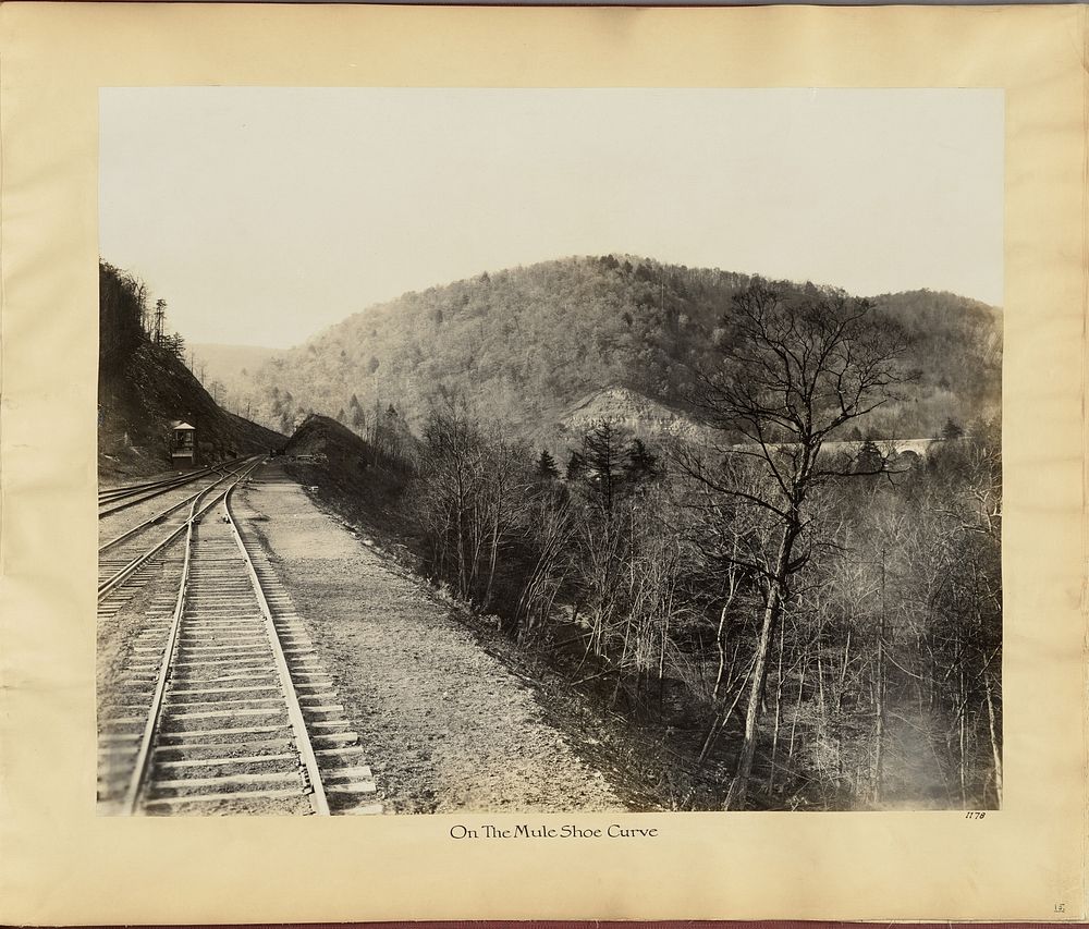 On the Mule Shoe Curve by William H Rau