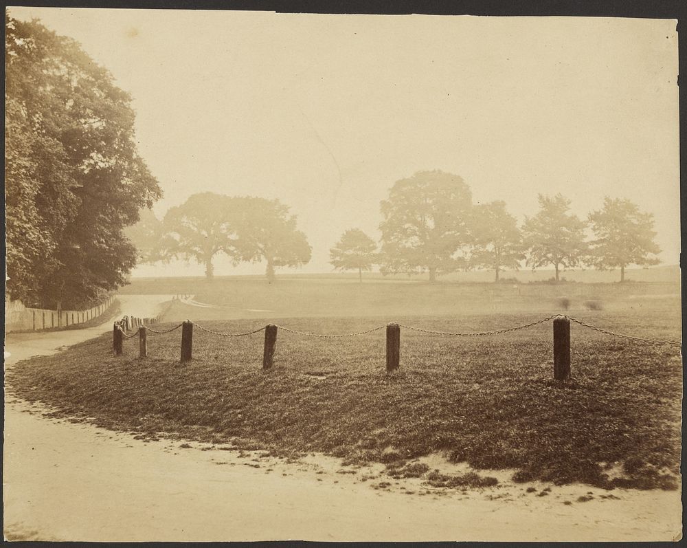 View of a Park by Roger Fenton