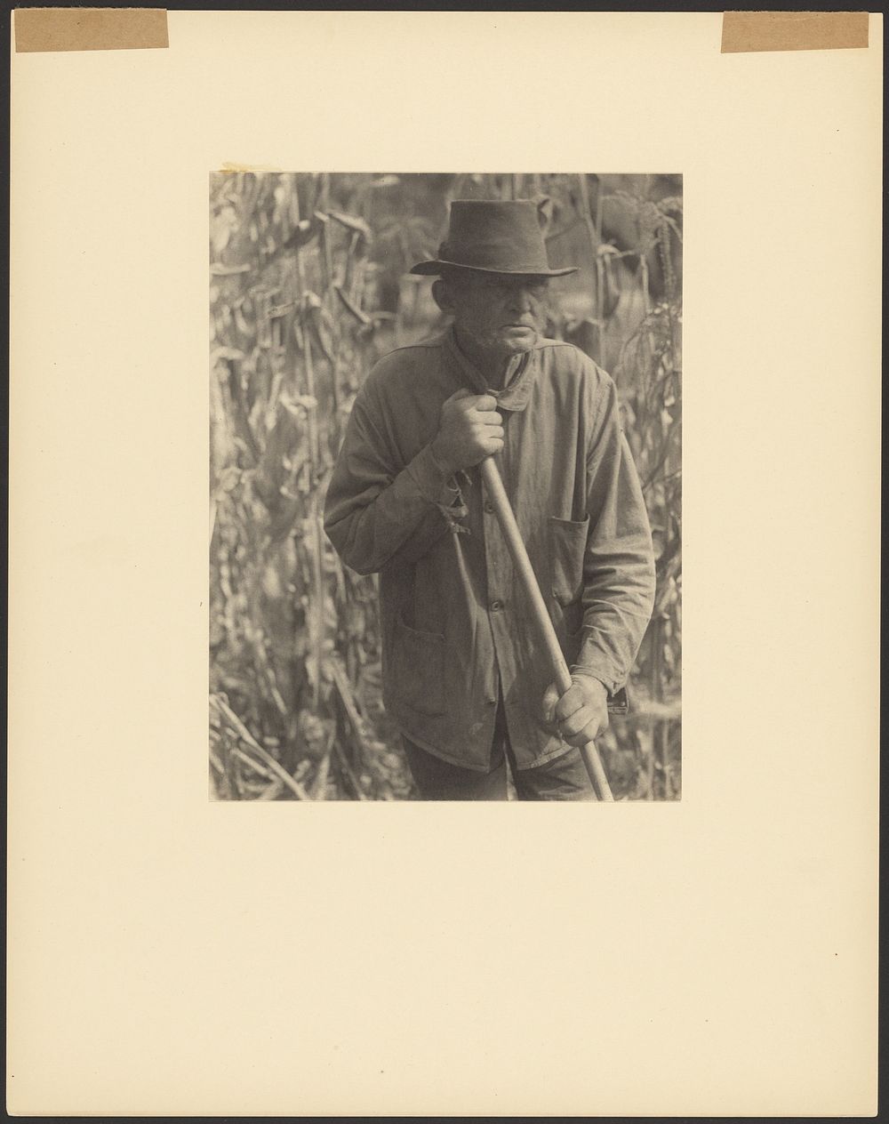 Man with Hoe in Sorghum Patch by Doris Ulmann