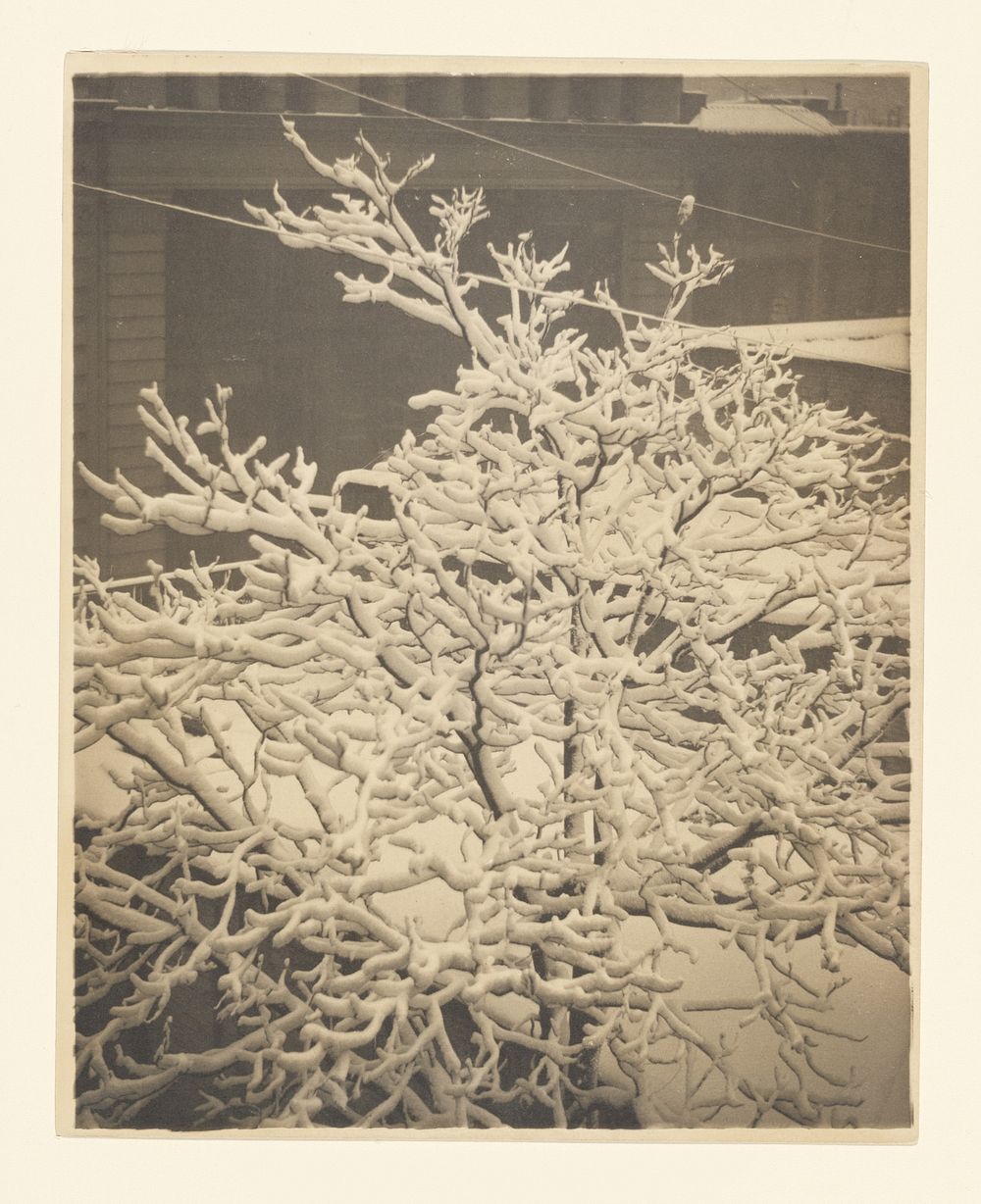 From the Back Window of 291 by Alfred Stieglitz