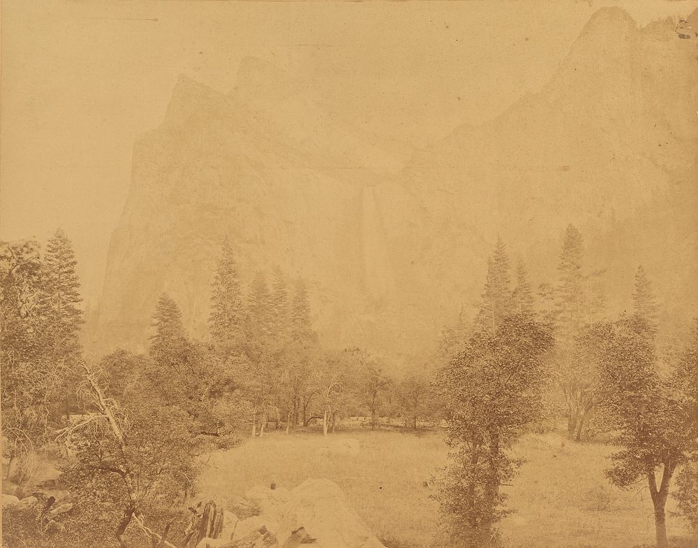 Pohona. Valley of the Yosemite. by Eadweard J Muybridge