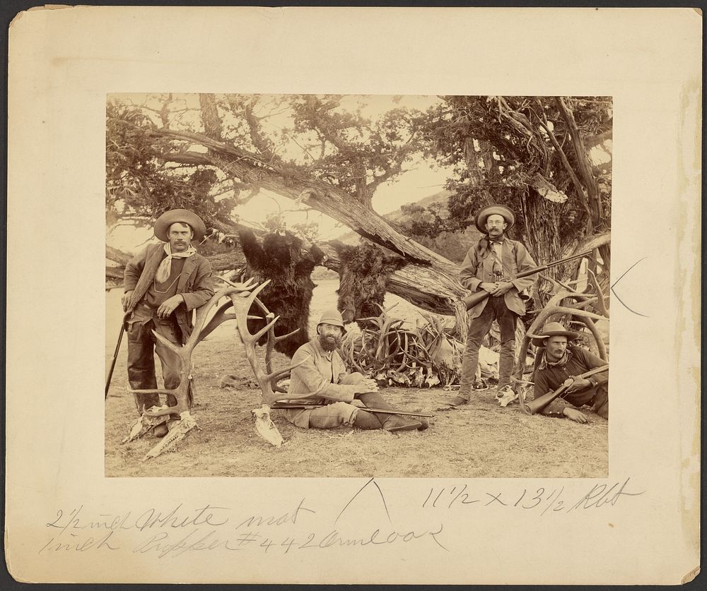 Lispenard Stewart party, #6 - 5th Ave., N.Y. with trophies by old cedar tree, Mammoth Hot Springs, Yellowstone National Park…
