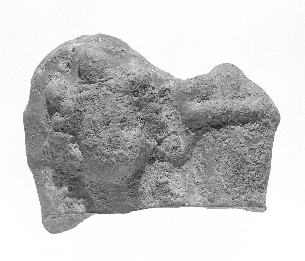 Female Head Fragment