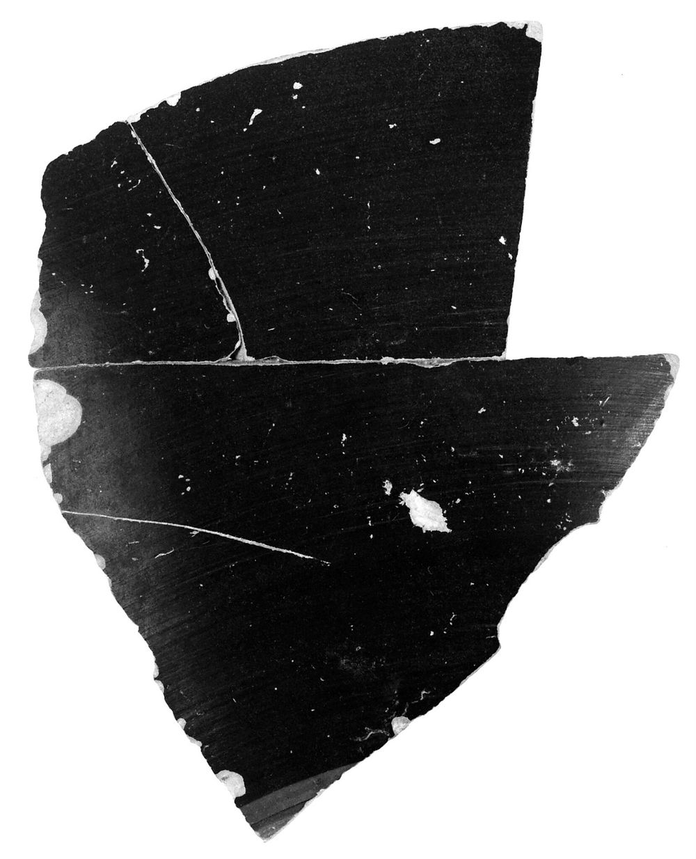 Attic Panathenaic Amphora Fragment (comprised of 3 Joined Fragments) by Euphiletos Painter