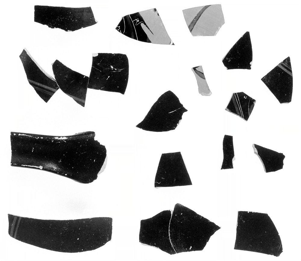Attic Black-Figure Neck Amphora Fragment