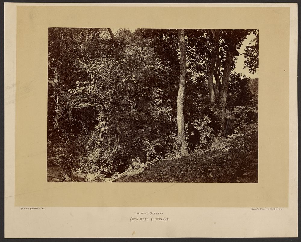 View near Chipigana. by John Moran