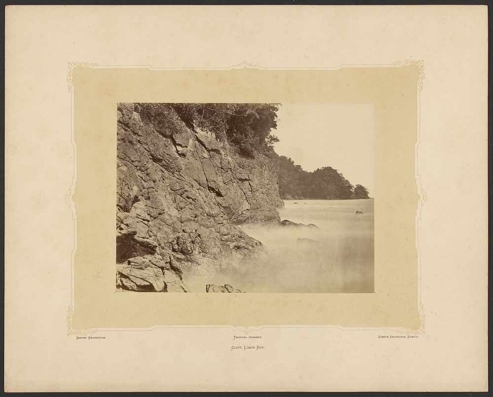 Cliff, Limon Bay. by John Moran