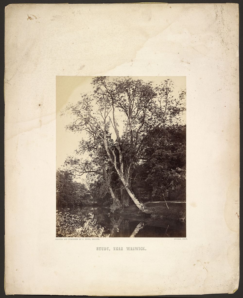 Study, Near Warwick. by Samuel Buckle and Francis Frith