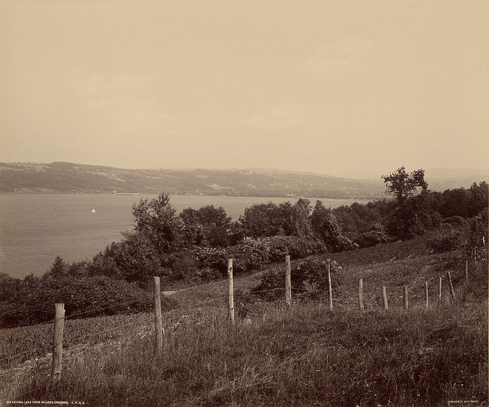 Cayuga Lake from Miller's Crossing. The Switzerland of America. Lehigh Valley Railroad. by William H Rau