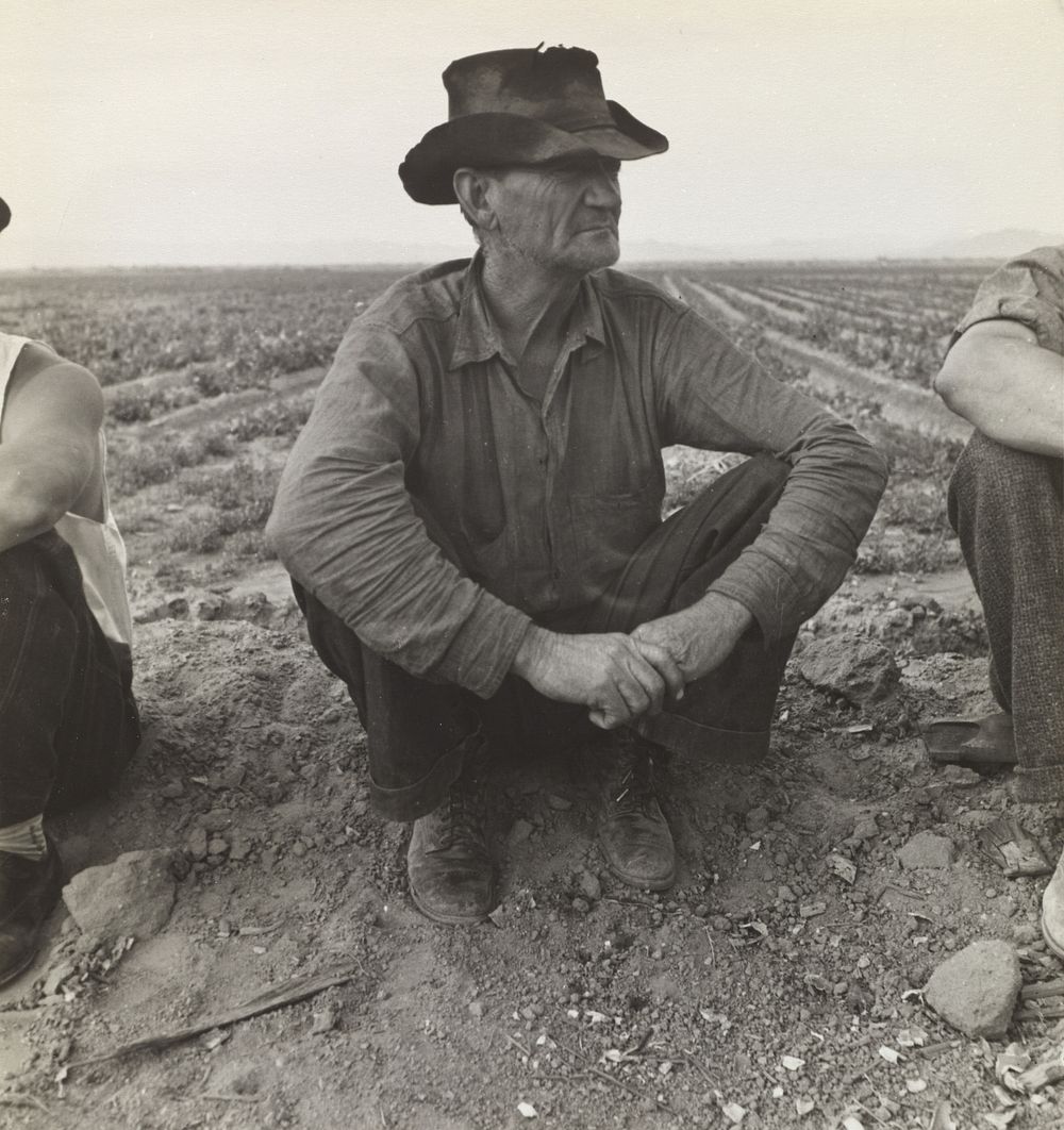 Waiting for Work on Edge of the Pea Field, Holtville, Imperial Valley, California by Dorothea Lange