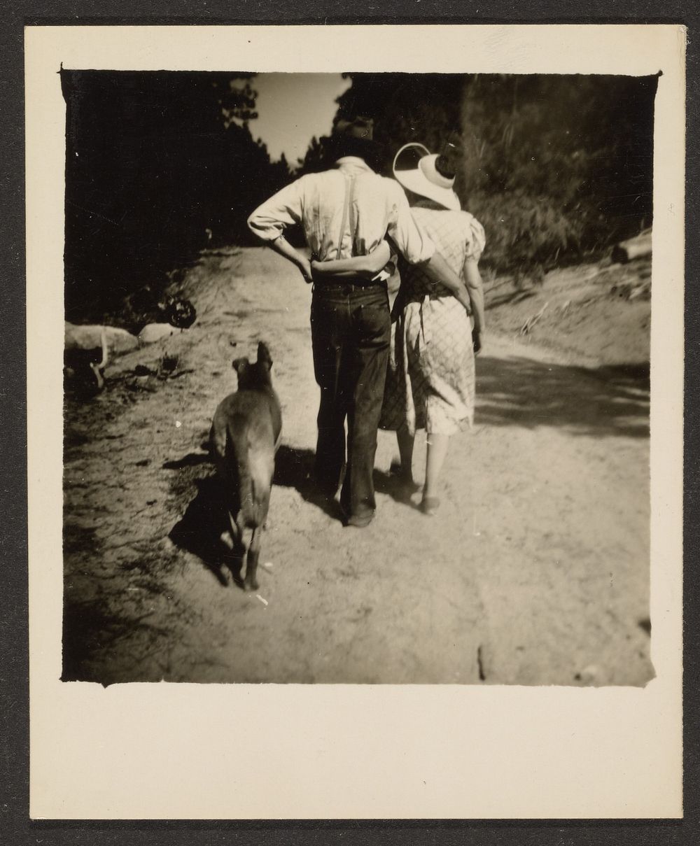 Couple Walking with Dog by Louis Fleckenstein