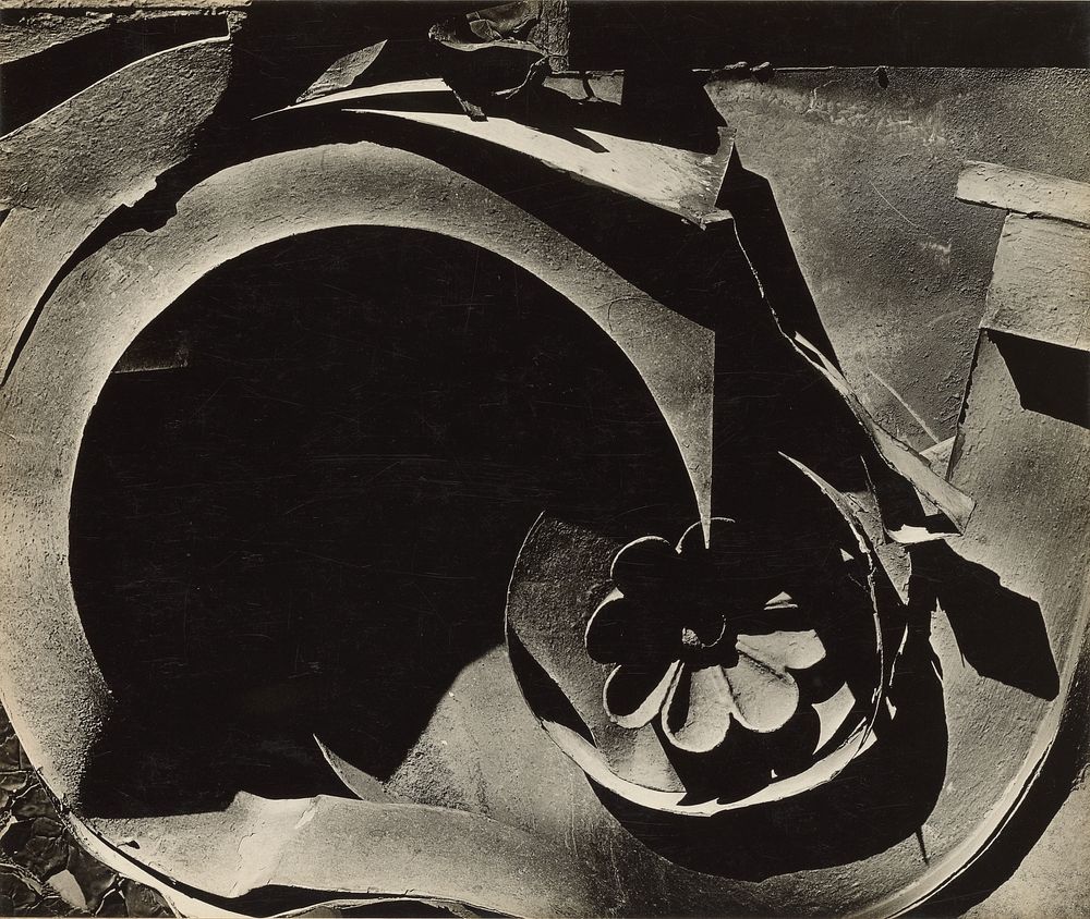 Tin Relic by Walker Evans
