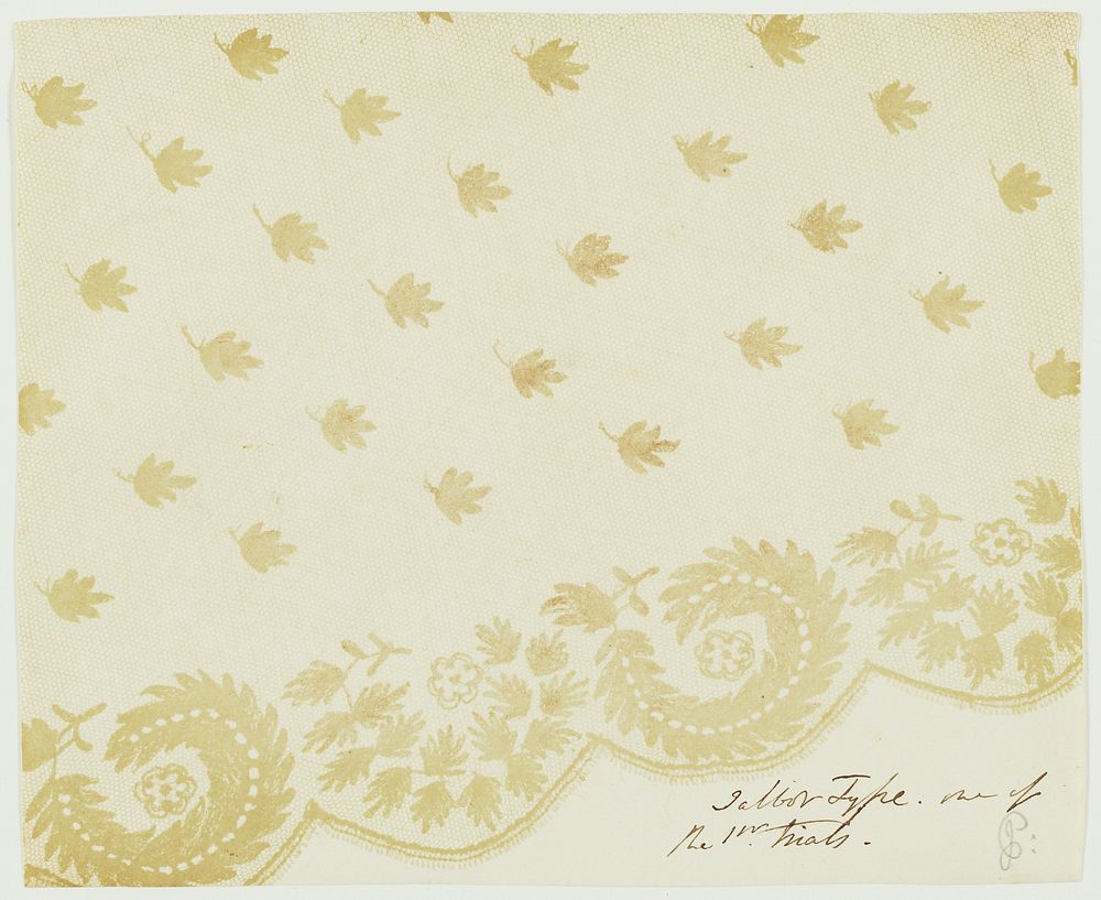 Lace, Made Within the Circle of Talbot - Most Likely by Calvert R. Jones] by William Henry Fox Talbot