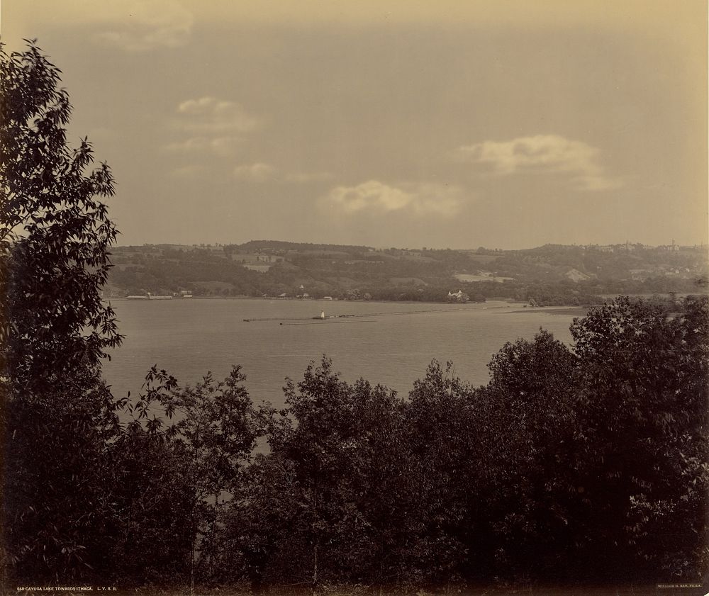 Cayuga Lake Towards Ithaca. by William H Rau