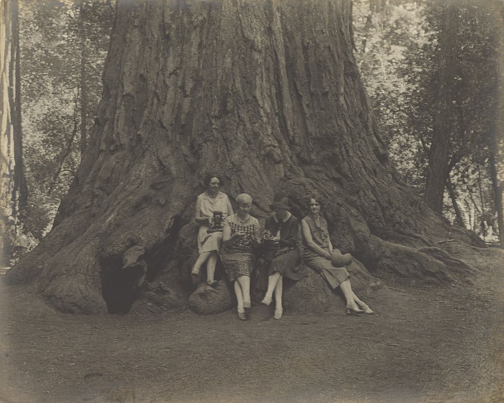 Women with Cameras at the Base of a Tree by Louis Fleckenstein