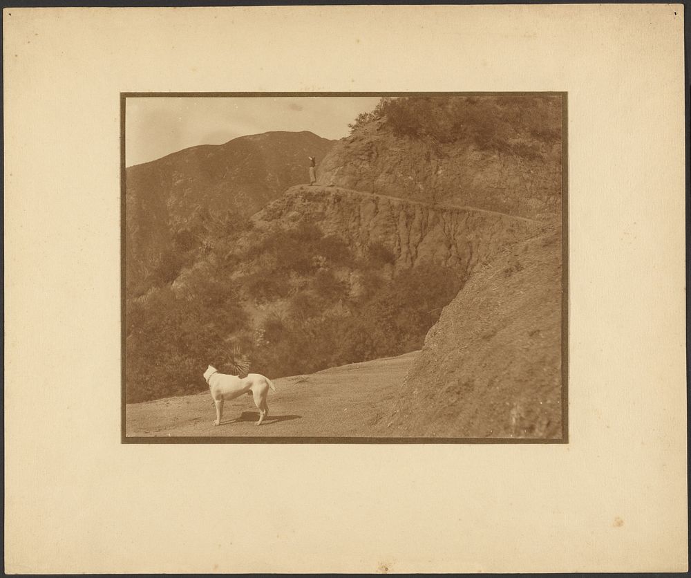 Dog and Woman in Mountainous Landscape by Louis Fleckenstein