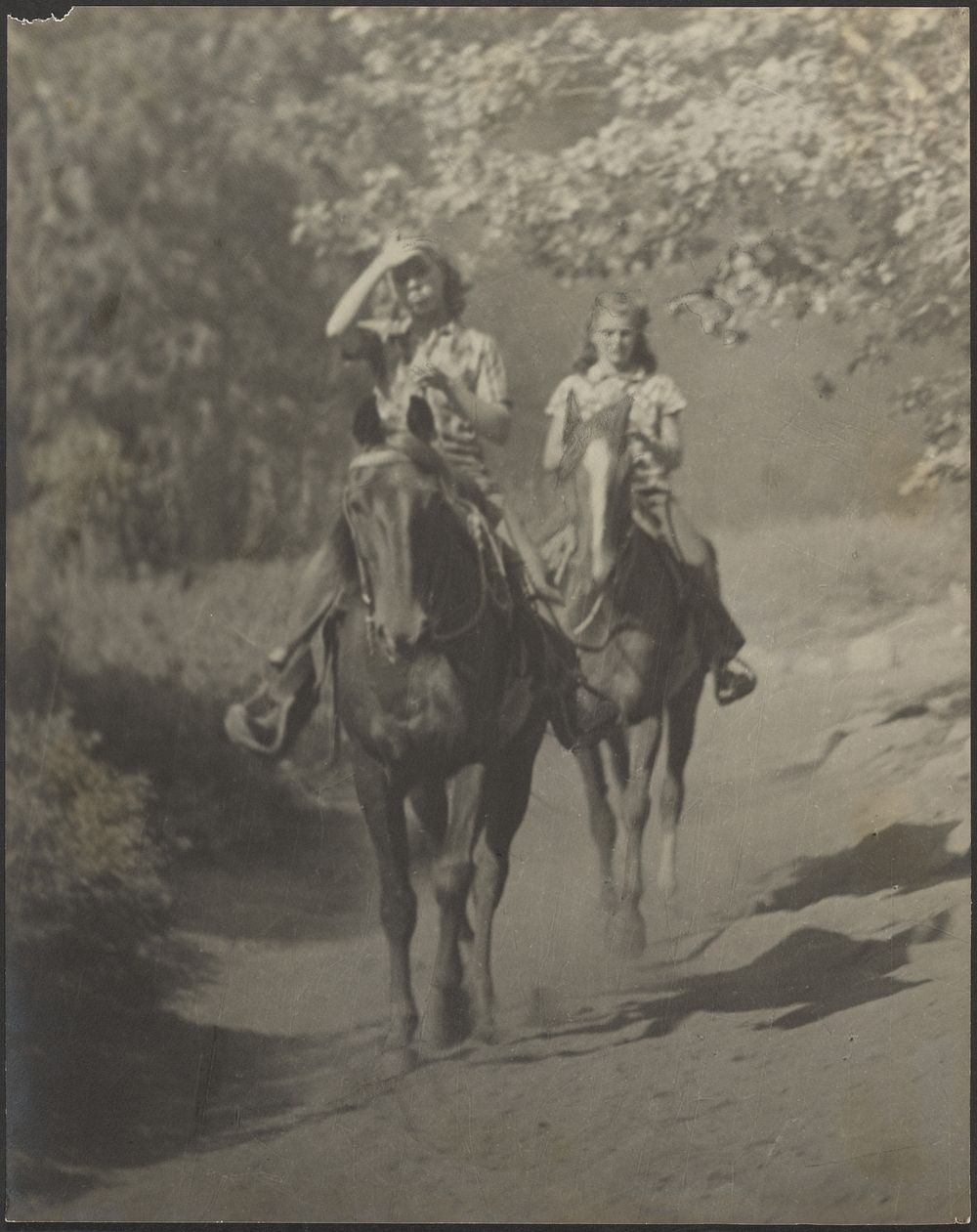 Women on Horseback by Louis Fleckenstein