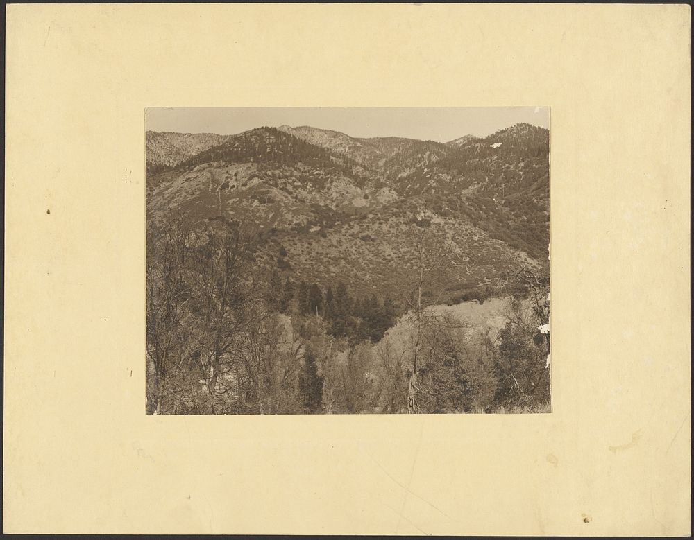 Landscape with Trees in Foreground by Louis Fleckenstein