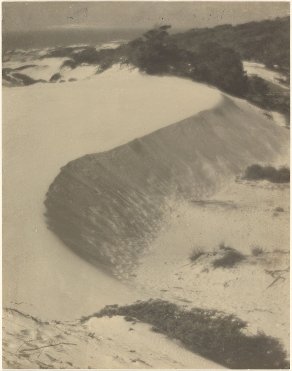 Dune - Carmel by Louis Fleckenstein