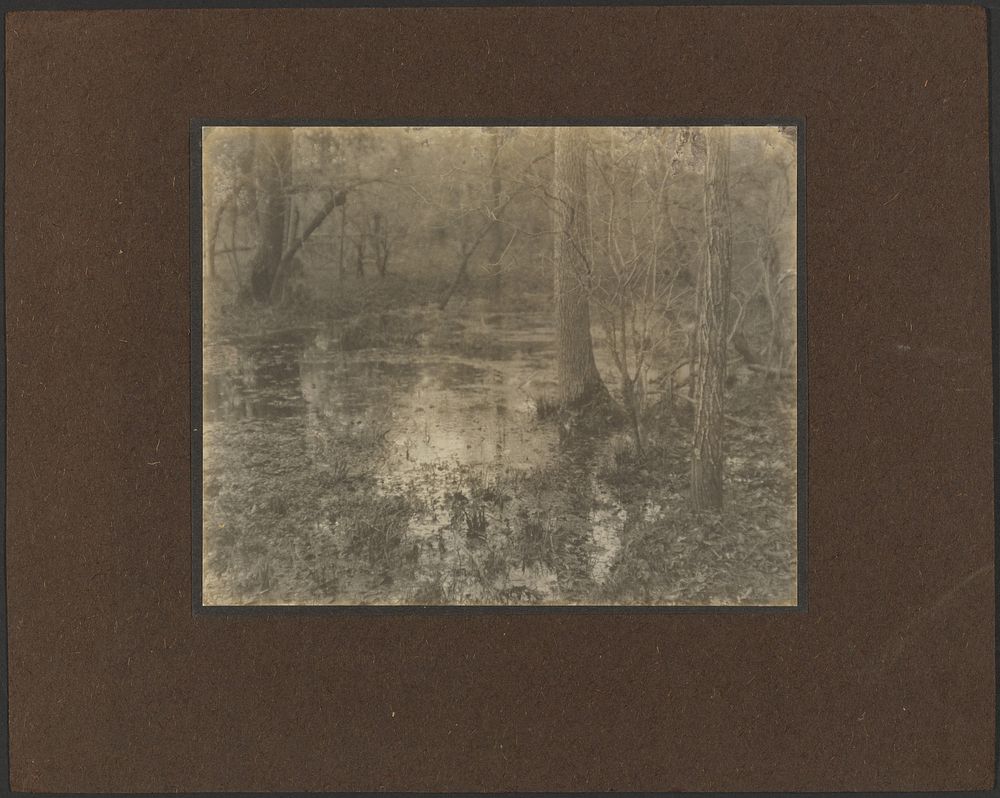 Pool in the Woods - Evening by Louis Fleckenstein
