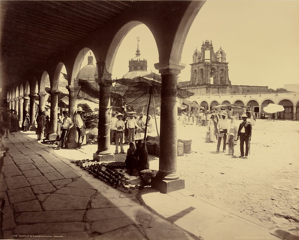 Market in Aguascalientes, Mexico by William Henry Jackson